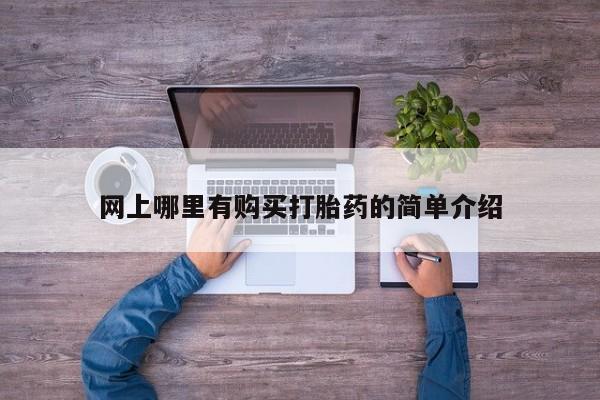 网上流产药专卖微信,网上哪里有购买打胎药的简单介绍